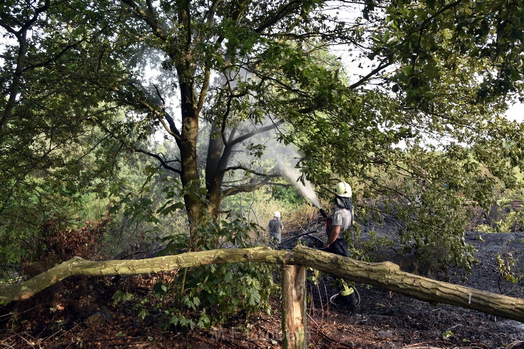 Waldbrand Koeln Hoehenhaus Hoehenfelder Mauspfad P091.JPG - Miklos Laubert